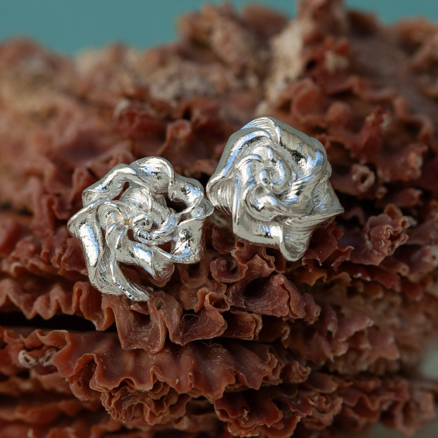 Root Rose Tiny earrings