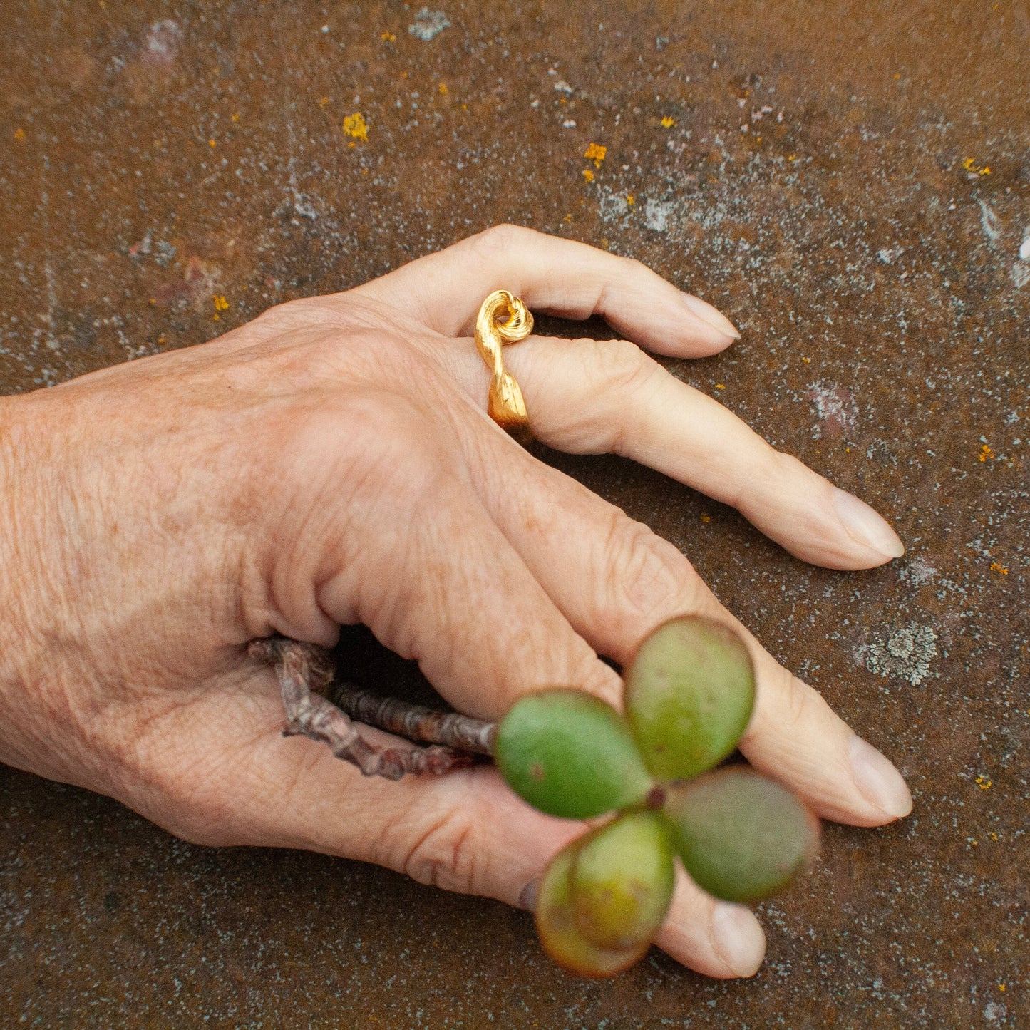 Golden Root Tidal Wave Ring (Size 52)