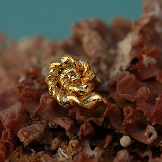 Golden Ammonite single earring (small)